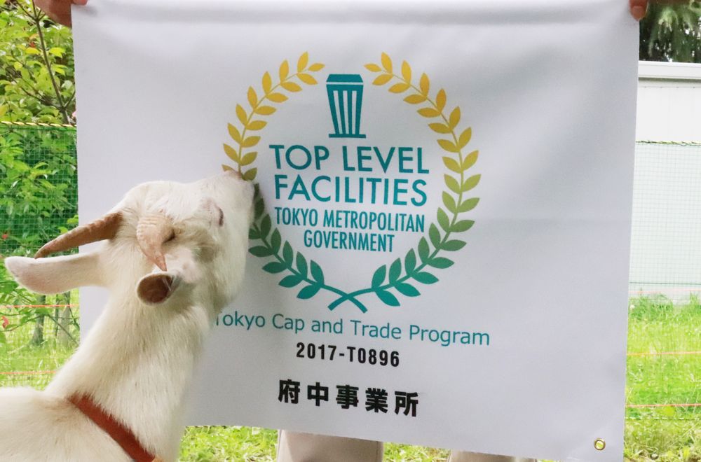 ѡTOP LEVELҵҿӮvwin8868ҵʵԾٴ룡